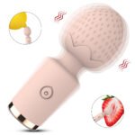 RBJ Strawberry-shaped AV Stick