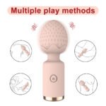 RBJ Strawberry-shaped AV Stick - Image 8