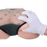 Sophia - Realistic Lower Torso Sex Doll & Butt Model - Image 7